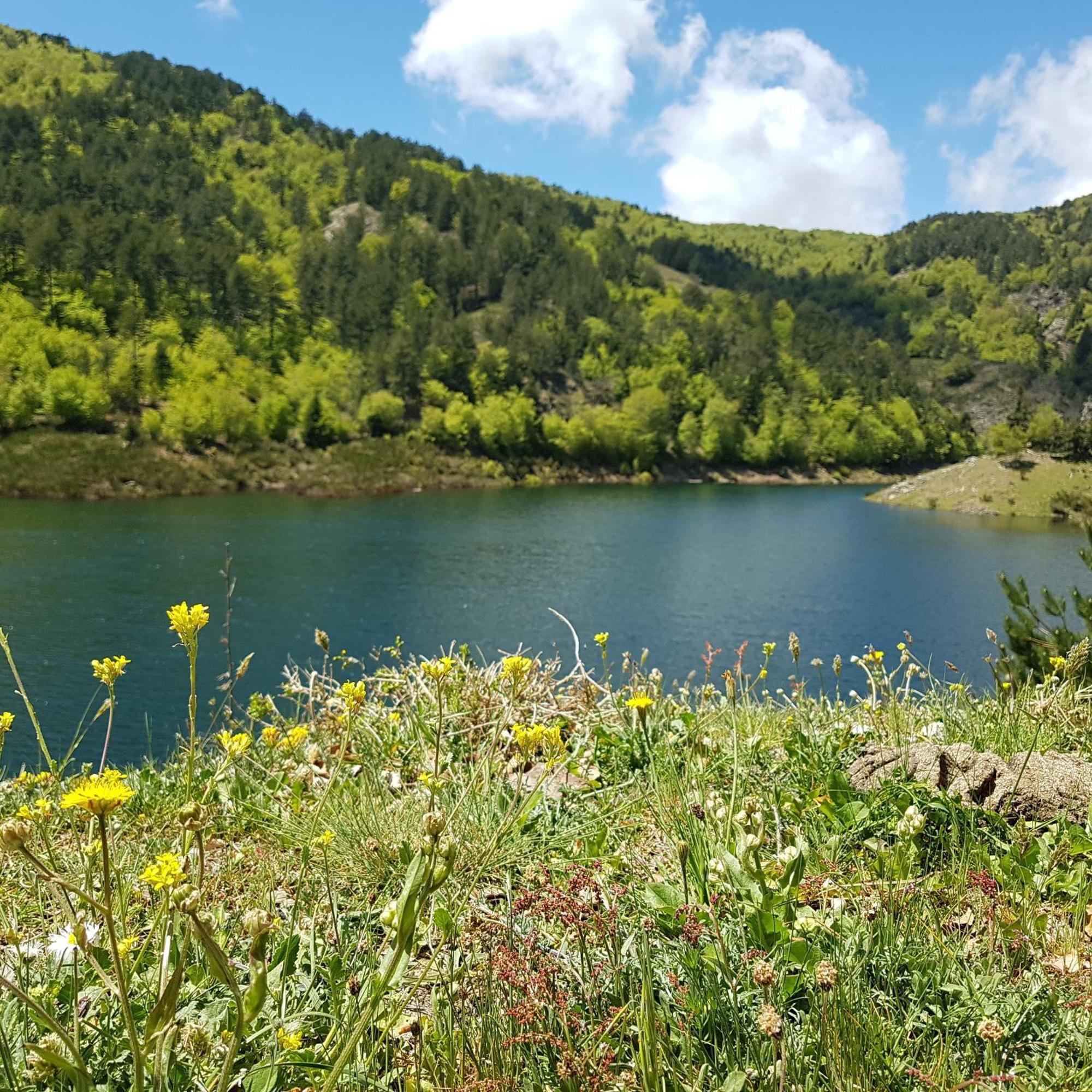 Park Hotel Bellavista Gambarie dʼAspromonte المظهر الخارجي الصورة